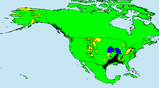 Relative Size of Oil Basins